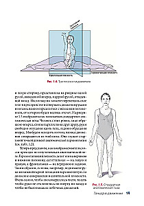Anatomia Tańca
