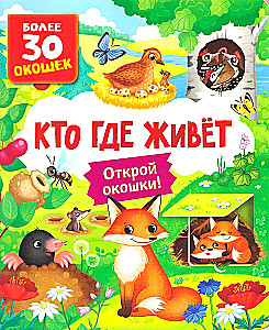 Książki z okienkami. Kto gdzie mieszka