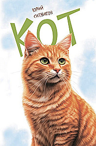 Katze