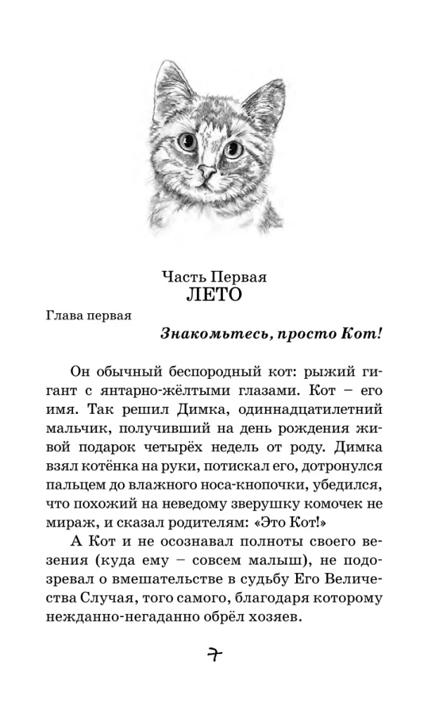 Katze