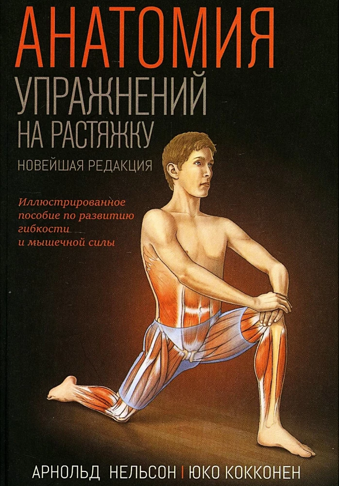 Anatomy of Stretching Exercises