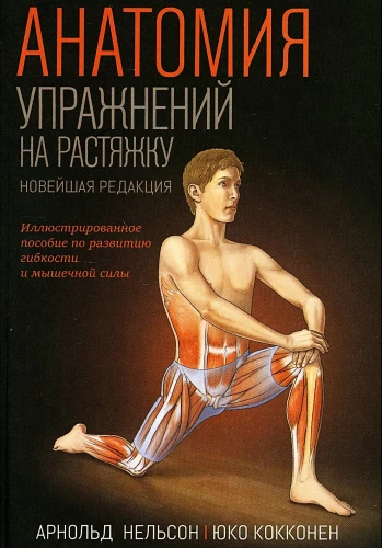 Anatomy of Stretching Exercises