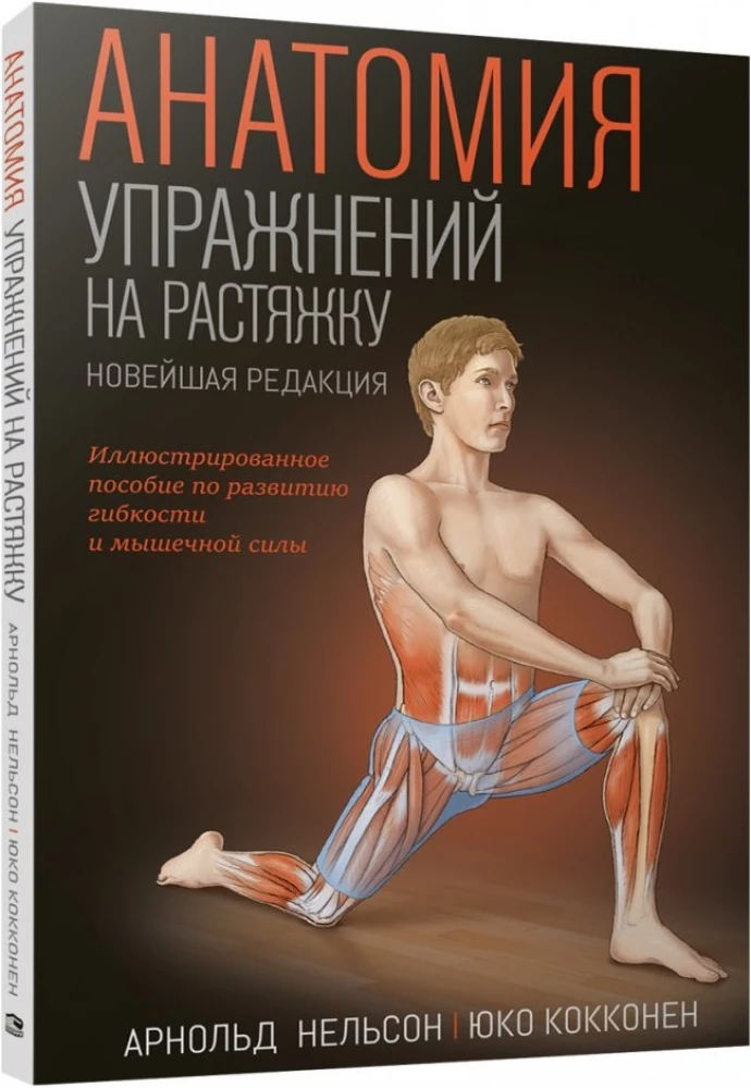 Anatomy of Stretching Exercises