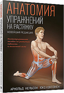 Anatomy of Stretching Exercises