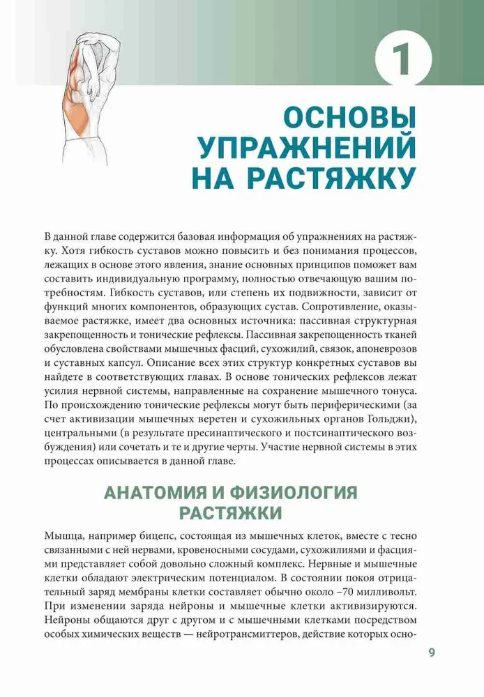 Anatomy of Stretching Exercises