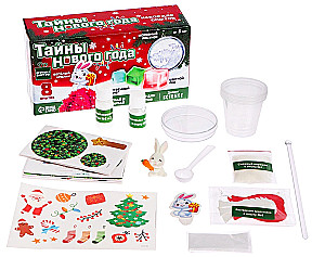 Experiment Set - New Year's Secrets, Bunny