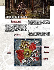 Board Game - Blood and Rage