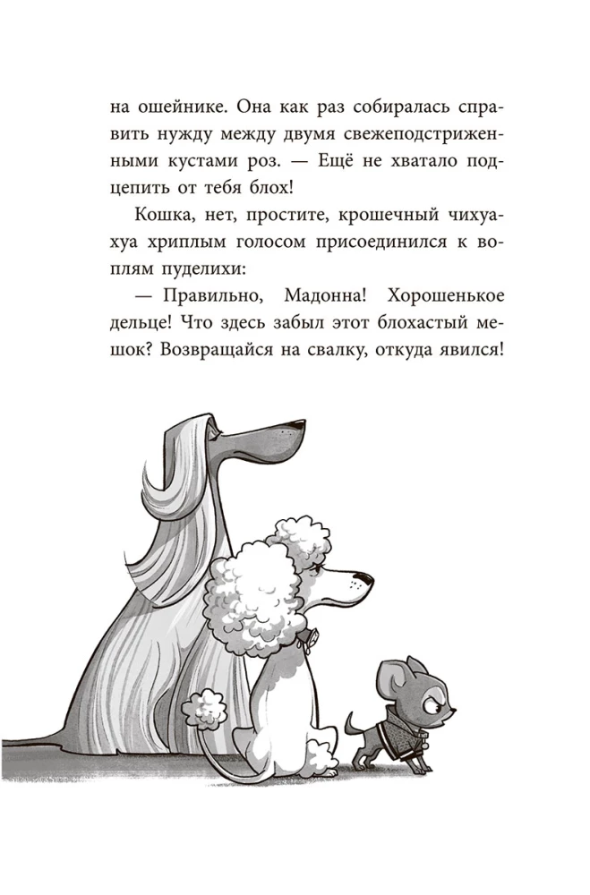 Banda włóczęgów: łapa łapie łapę