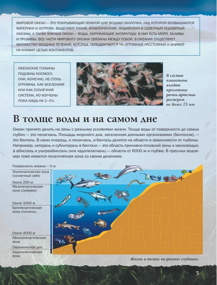 Veemaailm