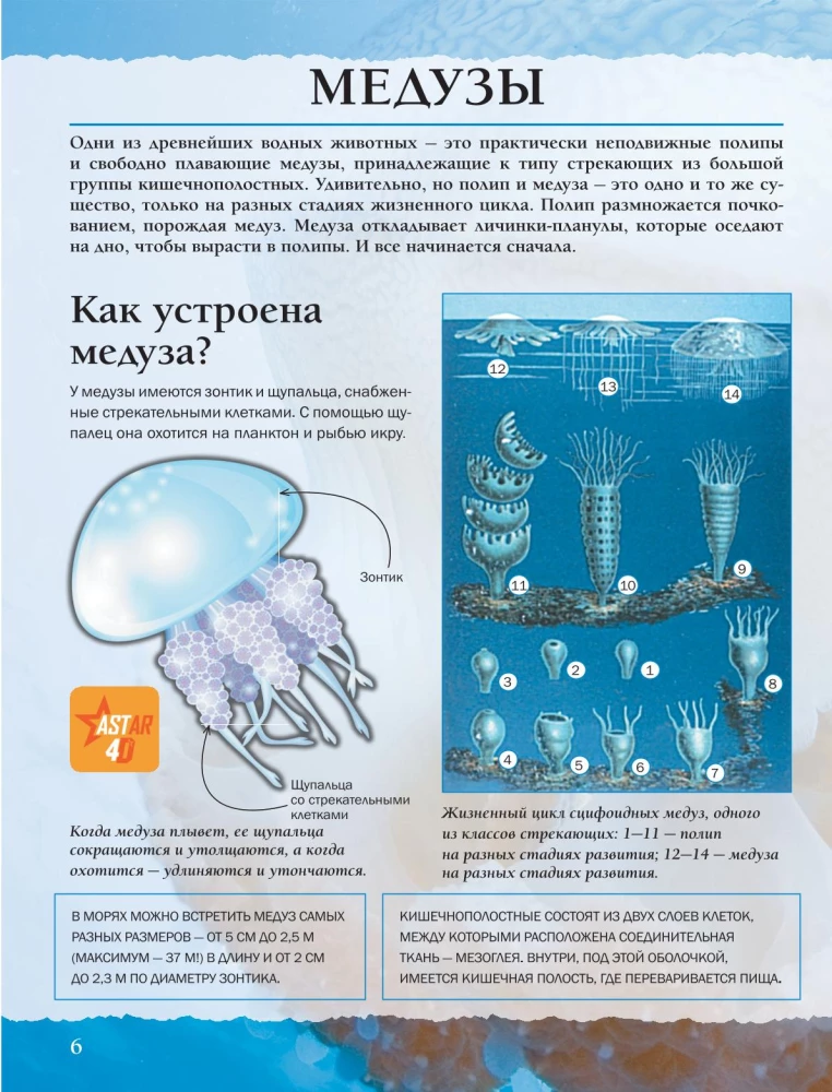 Veemaailm