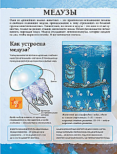 Veemaailm