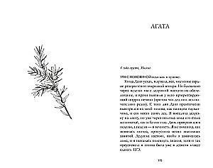 Ziemas sirds