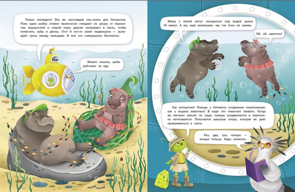 Jumping Interview. Hippos. Graceful Chubby Ones