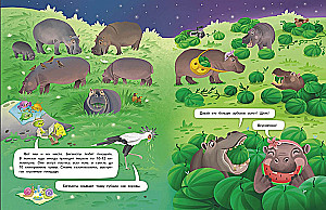 Jumping Interview. Hippos. Graceful Chubby Ones