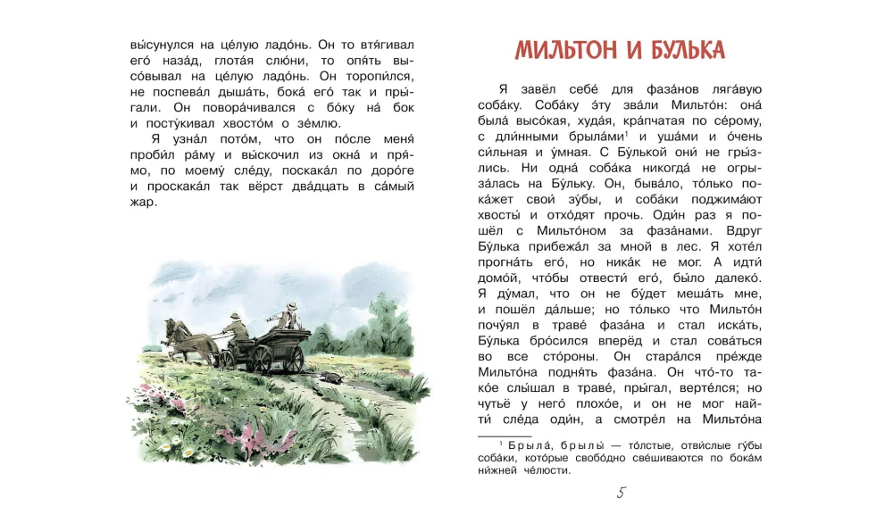 Rekin. Opowiadania