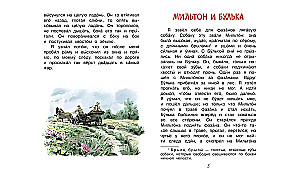 Rekin. Opowiadania