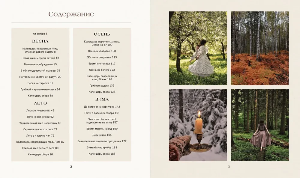 The Secret Life of the Forest. Russian Nature in Facts and Sketches