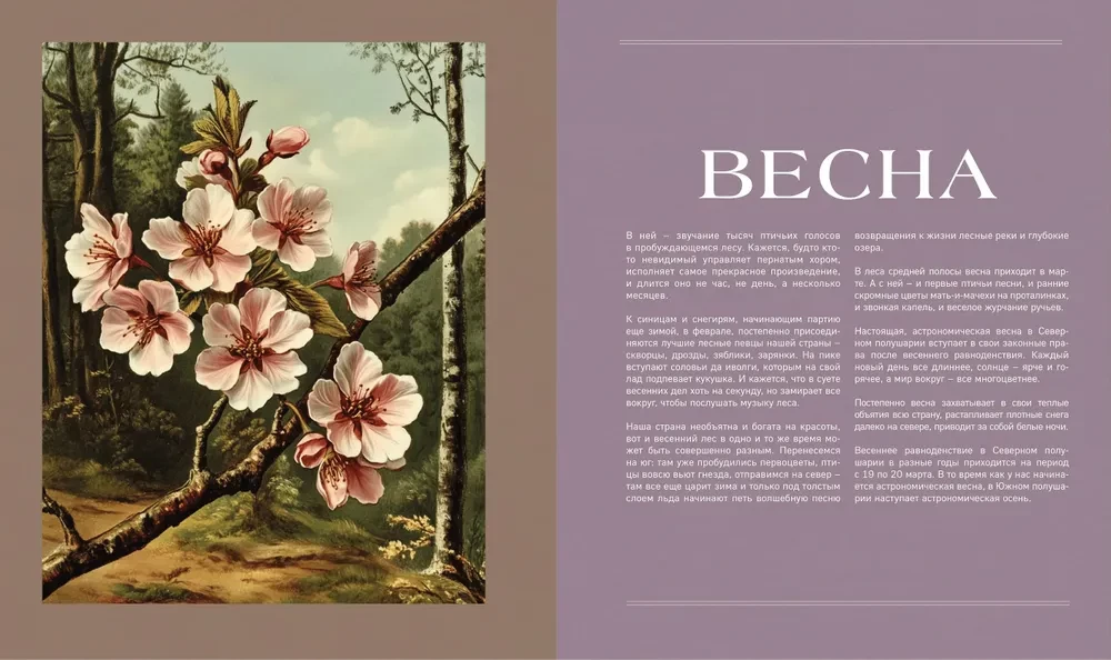The Secret Life of the Forest. Russian Nature in Facts and Sketches