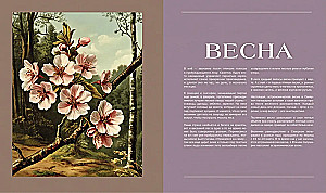 The Secret Life of the Forest. Russian Nature in Facts and Sketches