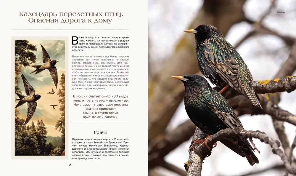 The Secret Life of the Forest. Russian Nature in Facts and Sketches