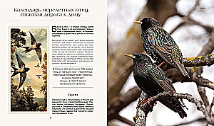 The Secret Life of the Forest. Russian Nature in Facts and Sketches