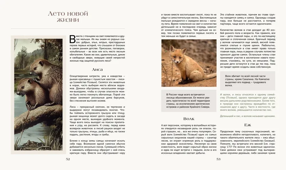 The Secret Life of the Forest. Russian Nature in Facts and Sketches