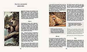 The Secret Life of the Forest. Russian Nature in Facts and Sketches