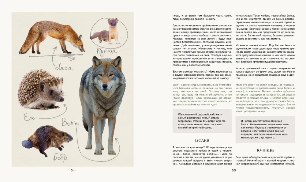 The Secret Life of the Forest. Russian Nature in Facts and Sketches