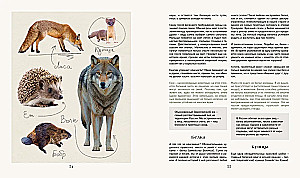 The Secret Life of the Forest. Russian Nature in Facts and Sketches