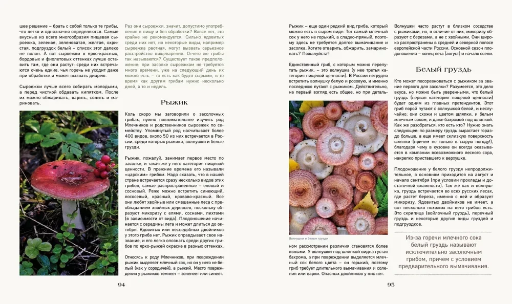 The Secret Life of the Forest. Russian Nature in Facts and Sketches