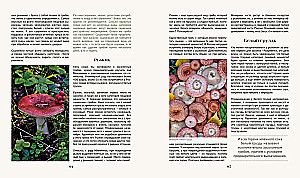 The Secret Life of the Forest. Russian Nature in Facts and Sketches