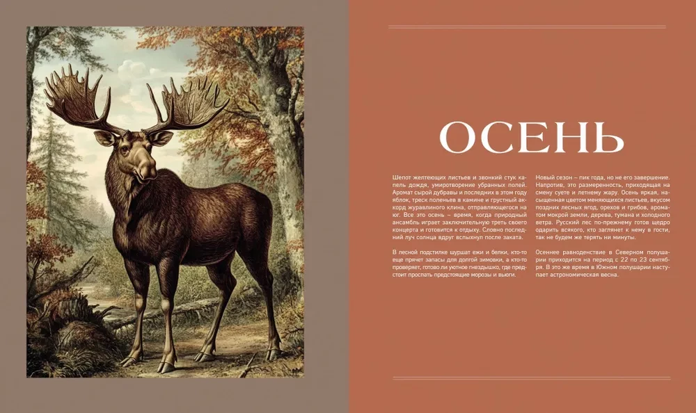 The Secret Life of the Forest. Russian Nature in Facts and Sketches