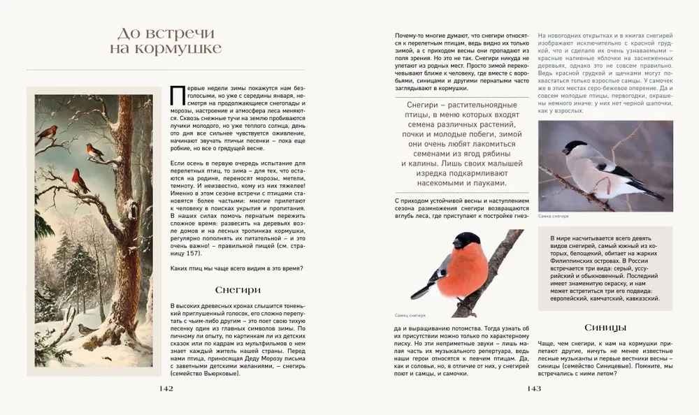The Secret Life of the Forest. Russian Nature in Facts and Sketches
