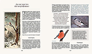 The Secret Life of the Forest. Russian Nature in Facts and Sketches