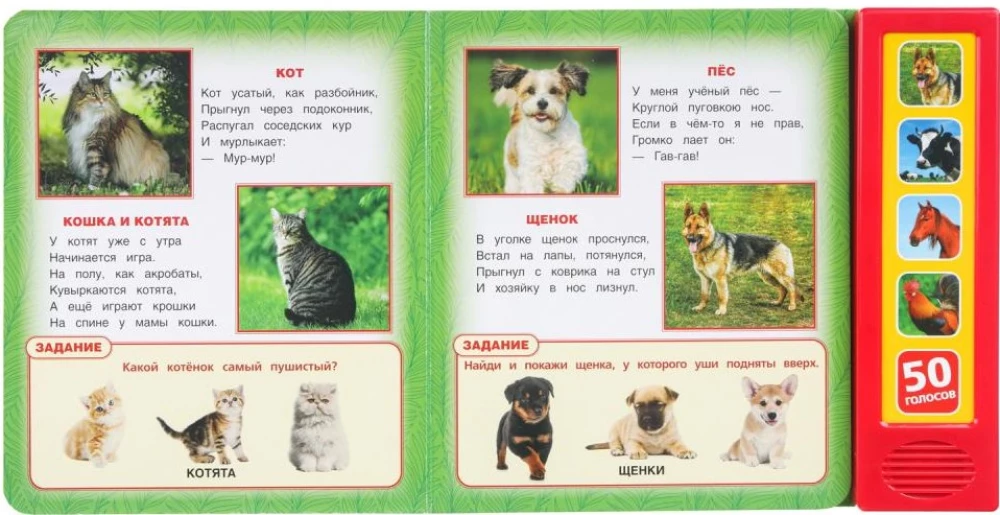 Zwierzęta domowe