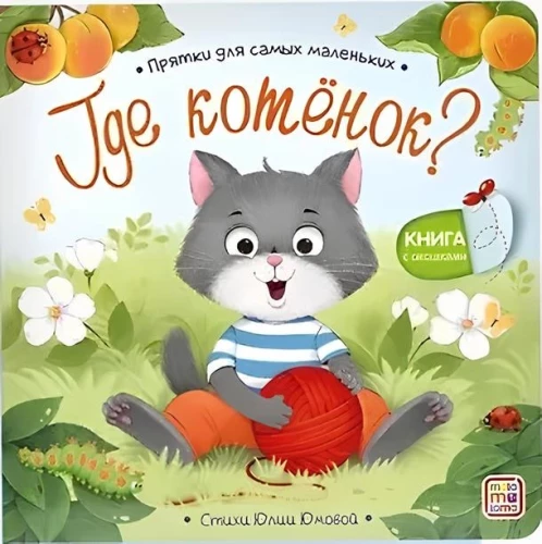 Peitusemängud kõige väiksematele. Kus on kassipoeg?