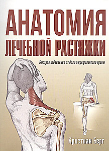 Anatomia terapeutycznego rozciągania: szybkie pozbycie się bólu i profilaktyka kontuzji