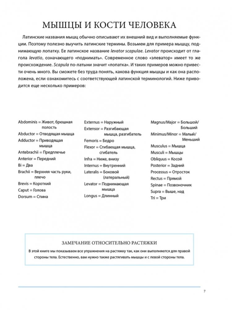 Anatomia terapeutycznego rozciągania: szybkie pozbycie się bólu i profilaktyka kontuzji