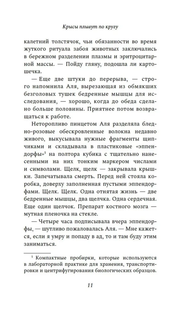 Крысы плывут по кругу