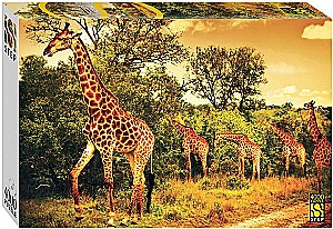 Puzzle 4000 - Południowoafrykańskie żyrafy