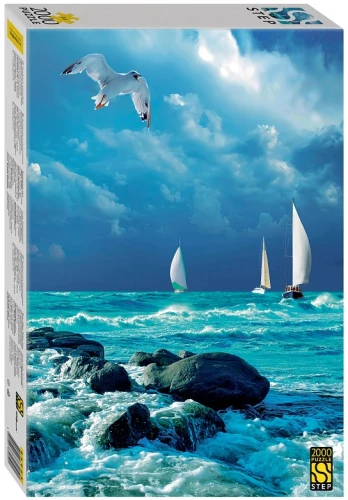 Puzzle - Sea. Seagull, 2000 pieces