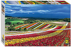 Puzzle - Wyspa Hokkaido, Japonia, 1000 elementów