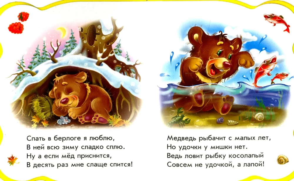 Wszystko o misiu