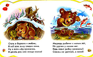 Wszystko o misiu