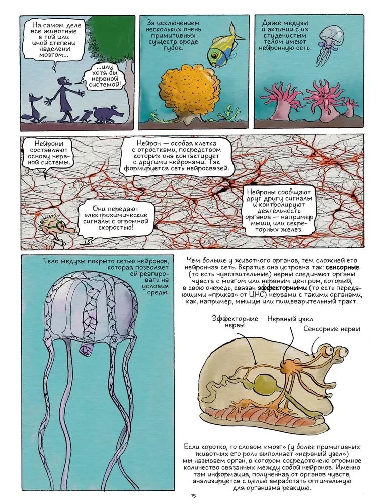 Najbardziej inteligentne zwierzę na Ziemi