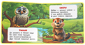 Zwierzęta leśne