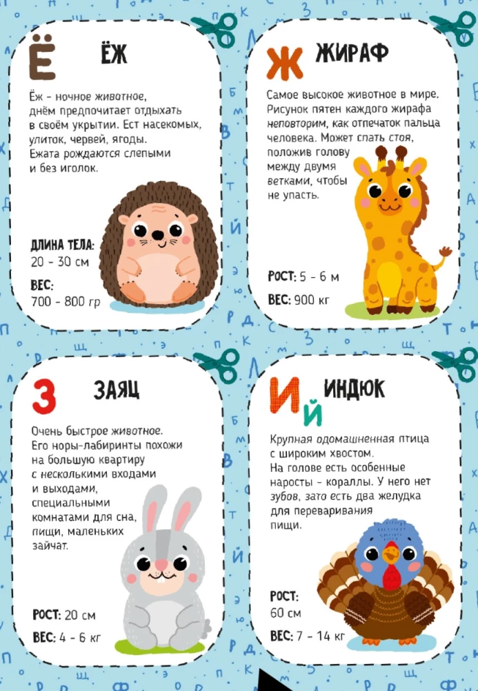 Zooalphabet
