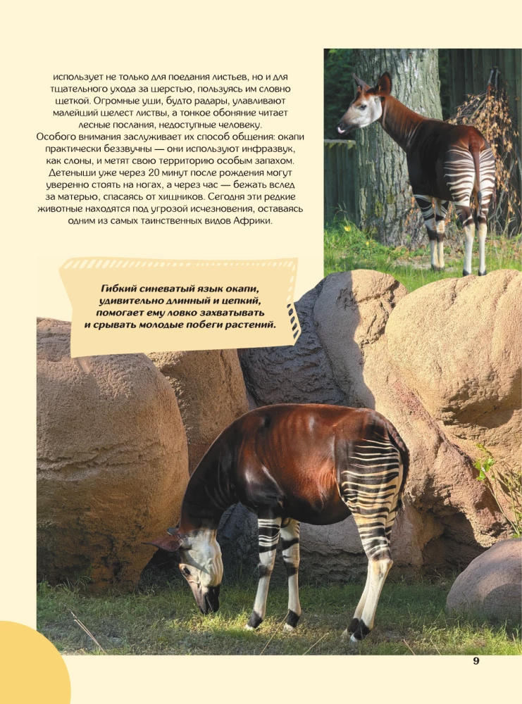 Tiere