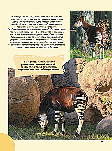 Tiere
