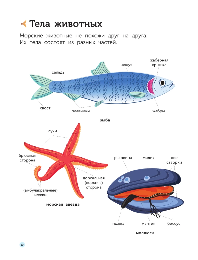 Požeminis pasaulis